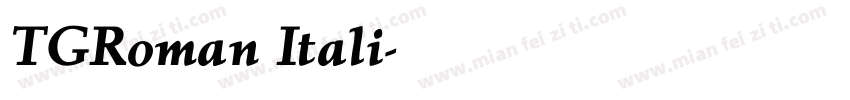 TGRoman Itali字体转换
